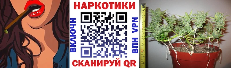Купить наркотик Новодвинск Марихуана КОКАИН ГАШ