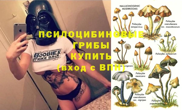 винт Майский