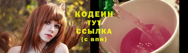 винт Майский