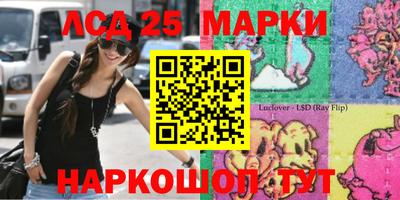 мдма Кингисепп