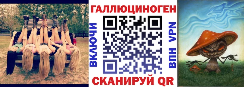 сколько стоит  Новодвинск  Псилоцибиновые грибы GOLDEN TEACHER 