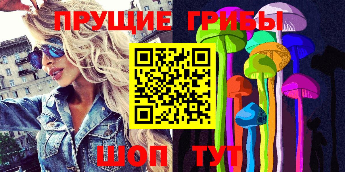 НБОМе Новодвинск