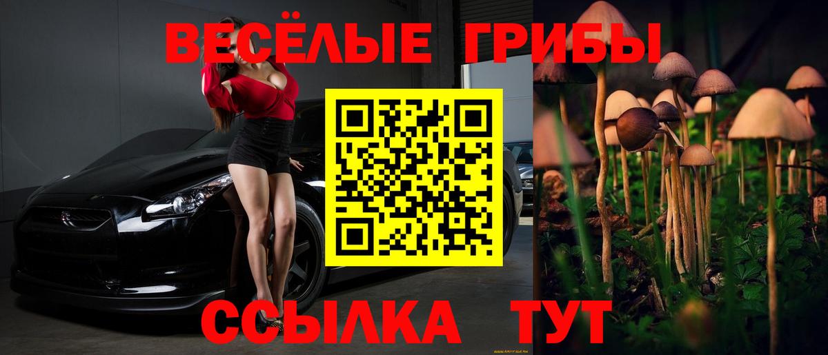 Псилоцибиновые грибы Cubensis Новодвинск