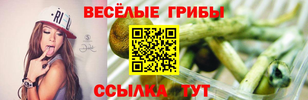 Кокаин  Каннабис  Новодвинск  Мефедрон   Вход с VPN  МЕФ  ГАШ 
