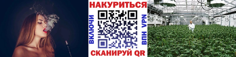 omg   Новодвинск  Шишки марихуана план 